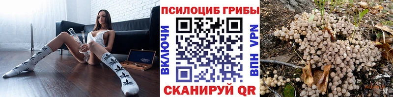 блэк спрут ссылка  Шумерля  Галлюциногенные грибы мухоморы  купить  сайты 