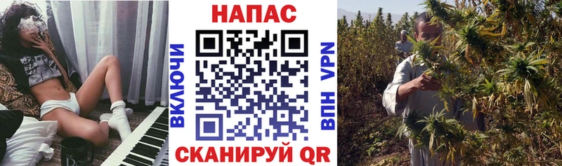 ссылка на мегу tor купить закладку Шумерля Канабис VHQ